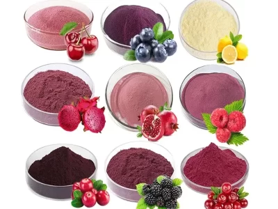 OEM-Private-Label-Health-Wholesale-Organic-Instant-Lime-Juice-Fruit-Extract-Powder